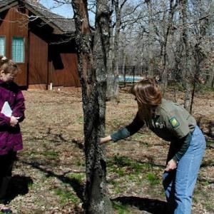 North Texas Tree Specialists