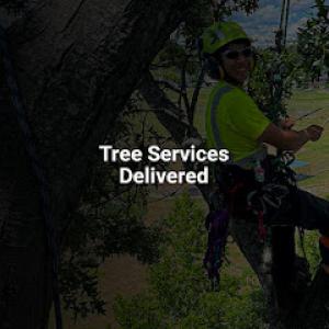 Barrett Tree Service East
