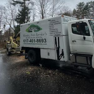 Mendez Tree Services