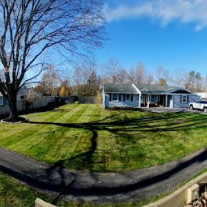 Yener Tree Services & Landscaping