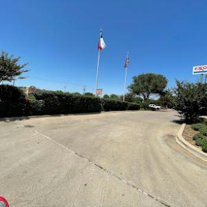 Budget tree trimming services