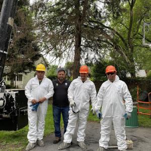 Mulheron Tree Experts