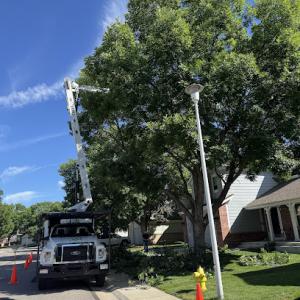 Monster Tree Service of North Metro Denver