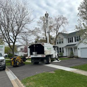 Wildwood Tree Service