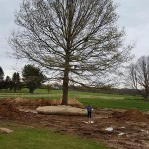 Brummer's Tree & Shrub LLC (Brummer's Tree Service)