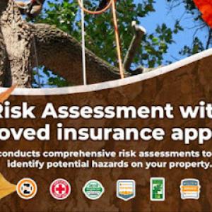 Jesses tree Consulting arborist services