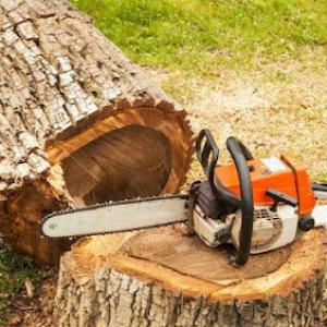 Discount Tree Cutting & Removal