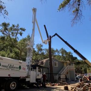 J & J Tree Services Paso Robles