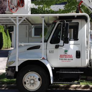 Brookfield Tree Service