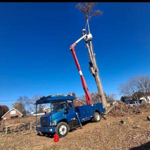 Timberwoods Tree Service