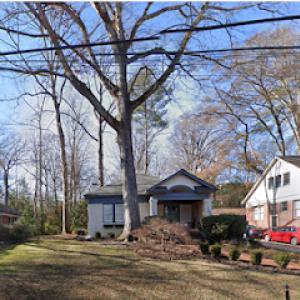 Todd Pate Tree Service