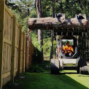 Wainers Tree Company