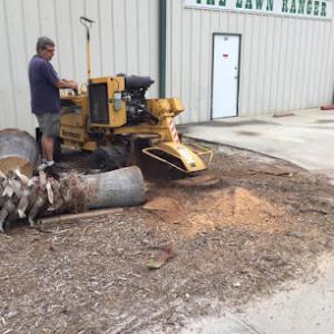 To The Top Tree Service