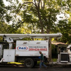 R&D Tree Service