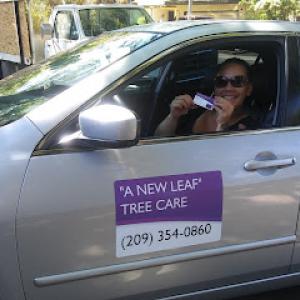A New Leaf Tree Care