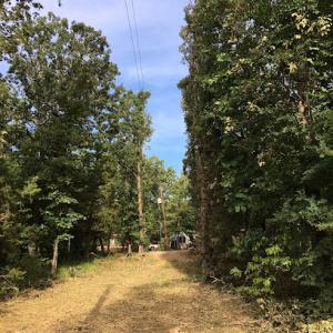 Whitmire Line Clearance