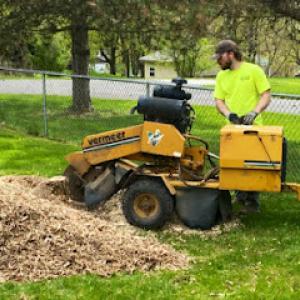Syracuse Stump Removal