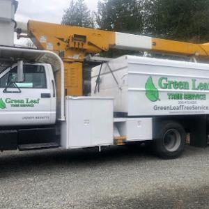 Green Leaf Tree Service
