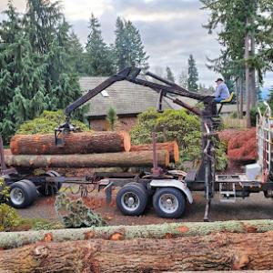 All Around Tree Care