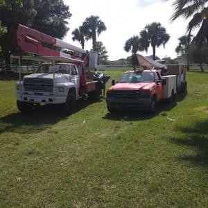 Fields Tree & Land Management