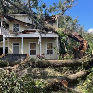 Hawthornes Tree Service Lakeland FL