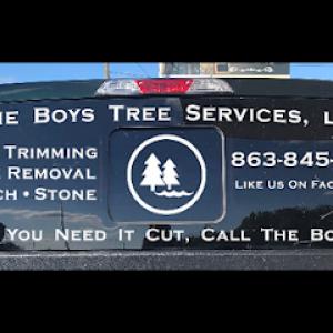 The Boys Tree Services