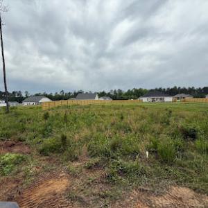 Lewis Lawn Care & More