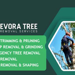 Evora Tree Removal Services