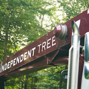 Independent Tree