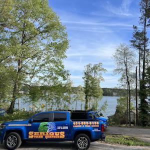 Serious Tree Services