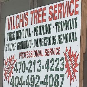 Vilchis Tree Service