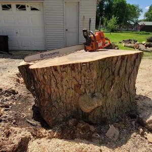 OConnell Tree Service