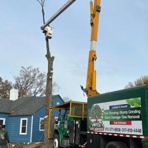 United Tree Services