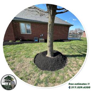 Olivos Tree Services Plus Landscaping