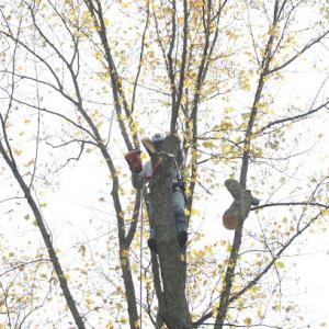 AMPM Property Maintenance