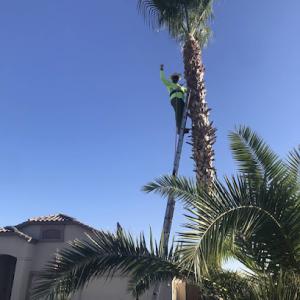 Vicente's Irrigation & Landscaping