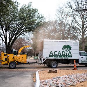 Acadia Tree Care