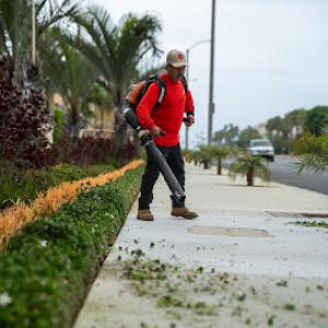 Gentry Commercial Landscape Maintenance Orange County