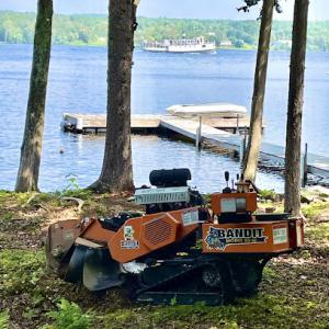 Greater Bangor Area Stump Grinding & Removal