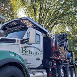 Petrarca Arborcare