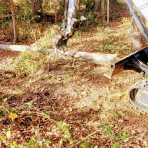 Southern Drawl Landscaping & Land Management