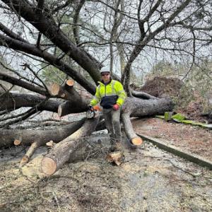 NW Reliable Home Services