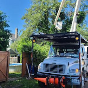 Campos Tree Service
