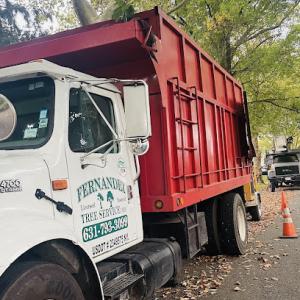 Fernandez Tree Service