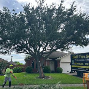 H&H Tree Service