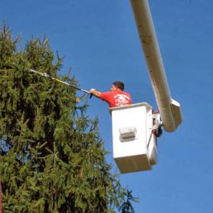All Maintenance Tree & Excavating Service