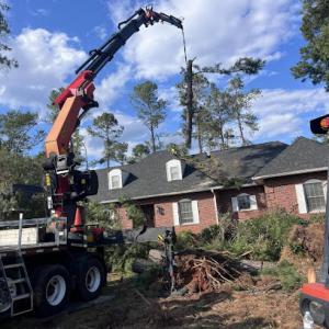 Saints Tree Service