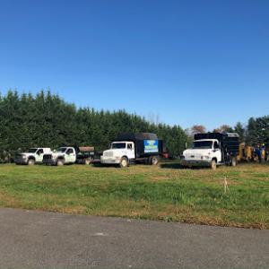 Cassello Tree Service