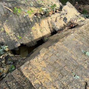 Beaumont Tree Service