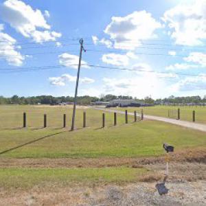 Red Stag Dirt & Tree Services